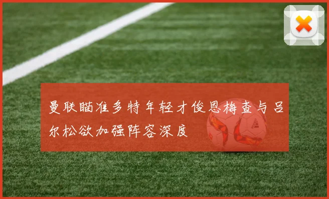 曼联瞄准多特年轻才俊恩梅查与吕尔松欲加强阵容深度