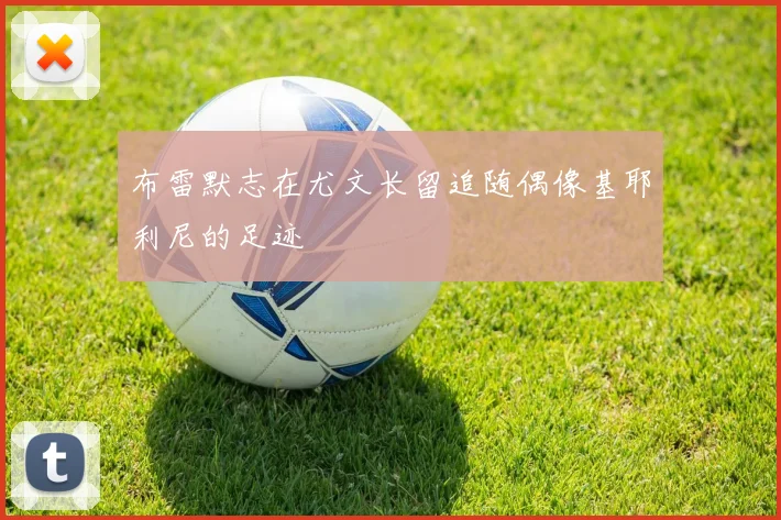 布雷默志在尤文长留追随偶像基耶利尼的足迹