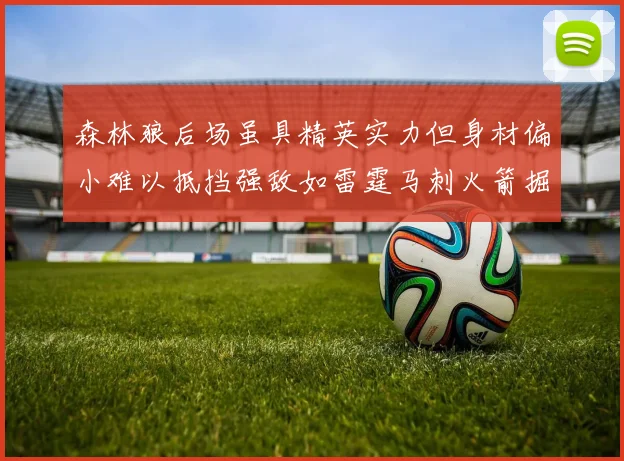 森林狼后场虽具精英实力但身材偏小难以抵挡强敌如雷霆马刺火箭掘金